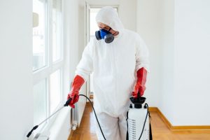 Mosquito control